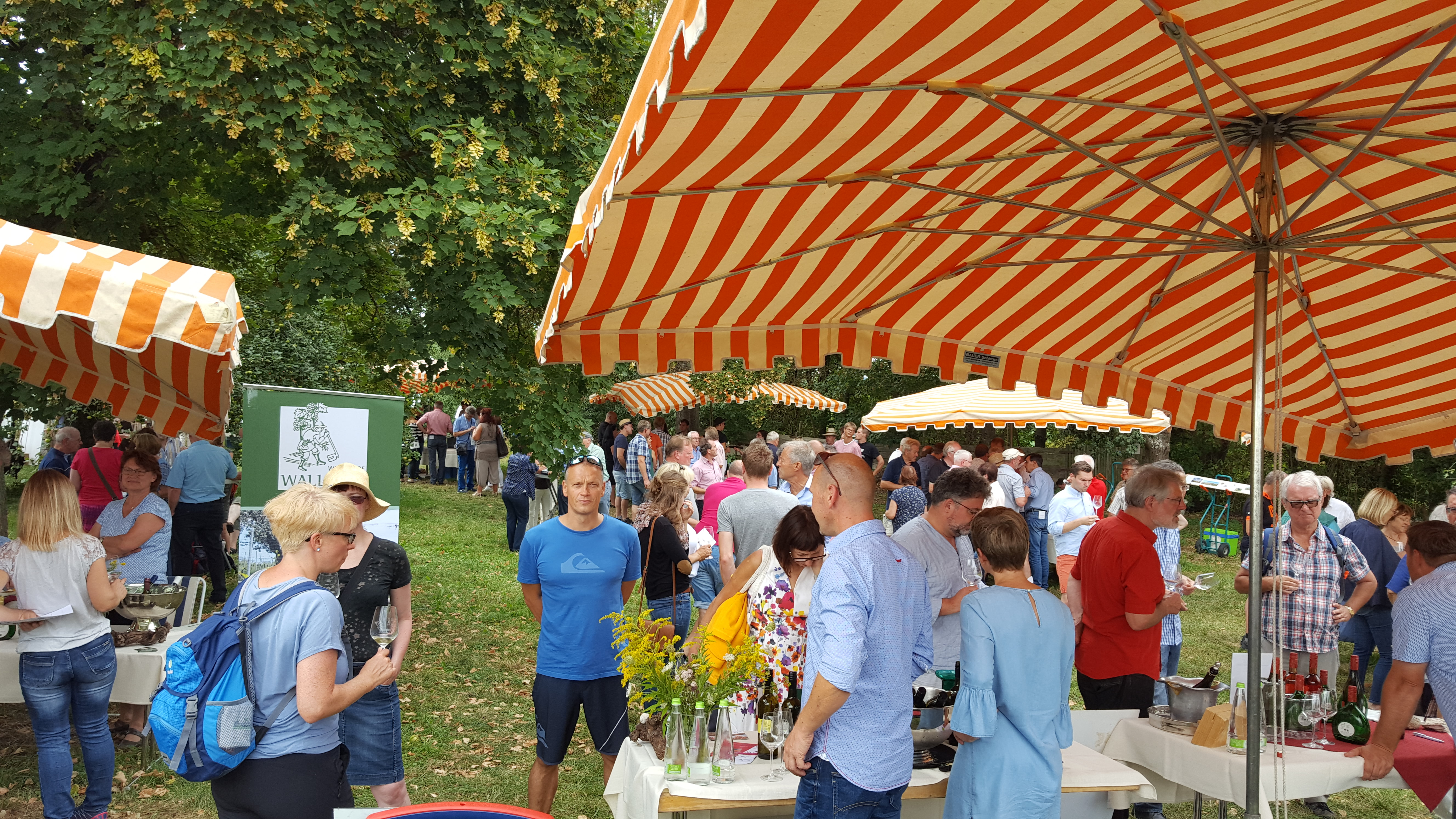 15. Weinpräsentation der fränkischen Ökowinzer auf der Vogelsburg
